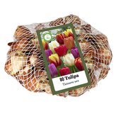 Síťka - XXL - Tulipán Triumph Mix (80 cibulí)