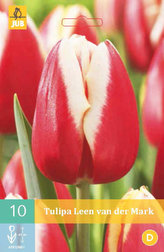 Karta - Tulipán - Leen van der Mark (10 cibulí) "C"