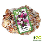 Síťka - XXL - Tulipán Darwin Pastel Mix (40 cibulí)