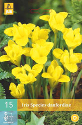 Karta - Kosatec - Iris Danfordiae (10 cibulí) "B"