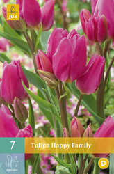 Karta - Tulipán - Happy Family (7 cibulí) "C"