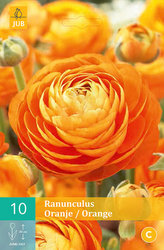 Karta - Pryskyřník - Ranunculus Orange (10 cibulí) "B"