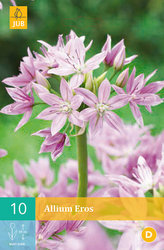 Karta - Česnek - Allium Eros (10 cibulí) "B"