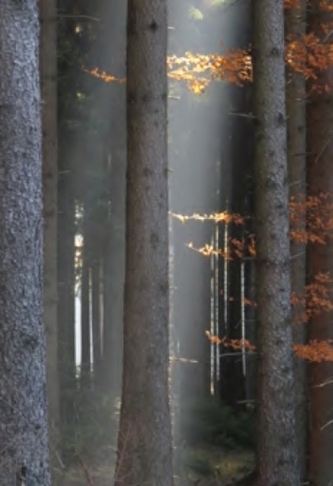 Přijít za svítání