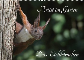 Artist im Garten. Das Eichhörnchen (Wandkalender 2023 DIN A2 quer)