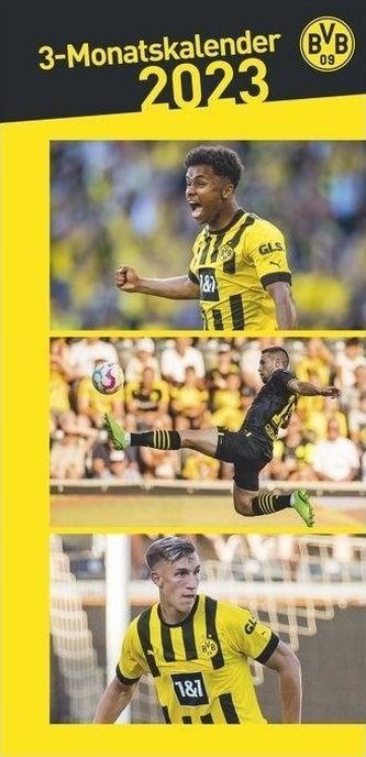 BVB 3-Monats-Planer 2023