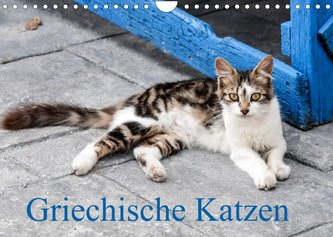 Griechische Katzen (Wandkalender 2023 DIN A4 quer)