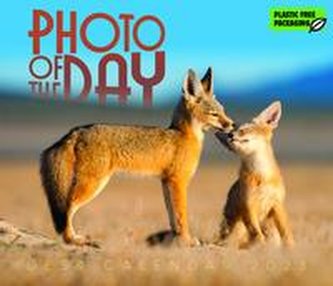 Photo of the Day - Foto des Tages 2023