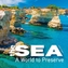 The Sea