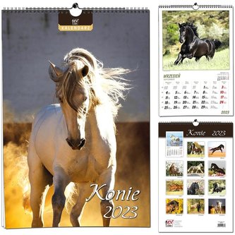 Kalendarz 2022 13 Plansz B3 - Konie