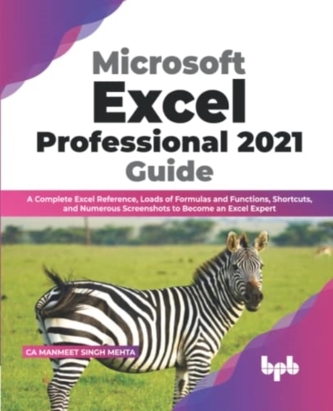 Microsoft Excel Professional 2021 Guide