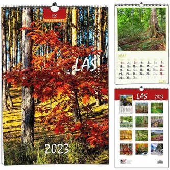 Kalendarz 2023 13 Plansz B3 - Las