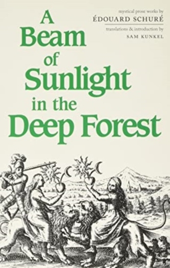 A Beam of Sunlight in the Deep Forest