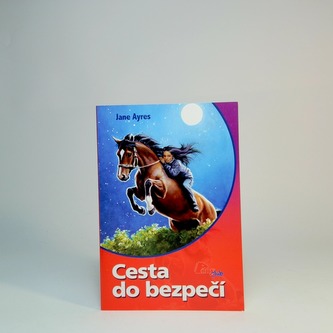 Cesta do bezpečí