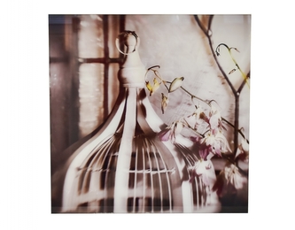 Skleněný obraz Orchidej 50x50 cm II. jakost