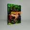 The adventure of Huckleberry Finn