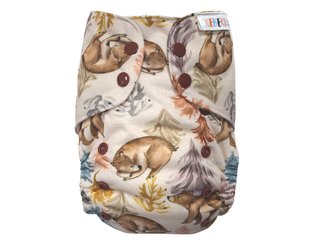 Ai2 BIO (M) - O čem se zdá medvědům PAT