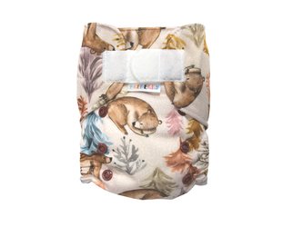 Ai2 BIO (S) - O čem se zdá medvědům SZ