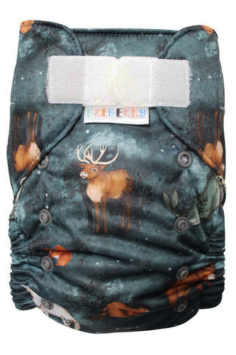 Ai2 BIO (M) - Kanadská noc SZ