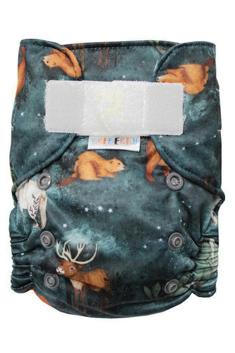 Ai2 BIO (S) - Kanadská noc SZ