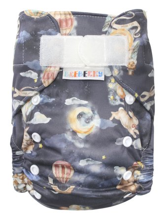 Ai2 BIO (M) - Balónový sen SZ