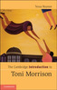Cambridge Introductions to Literature