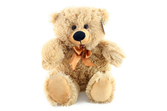 Plyš Medvěd světlý menší 35 cm