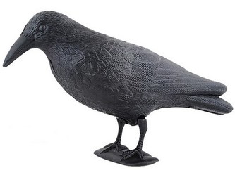 havran maketa na plašení špačků a holubů