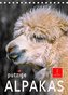 Putzige Alpakas (Tischkalender 2023 DIN A5 hoch)