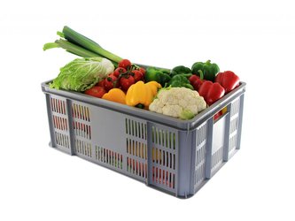 Přepravka na zeleninu nízká 600x400x125 mm