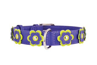 Obojek kožený Glamour Flower - fialový (46-60cm/35mm) Obojek kožený Glamour Flower - fialový (46-60cm/35mm)