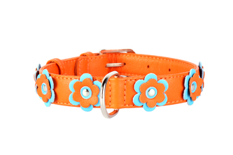 Obojek kožený Glamour Flower - oranžový (38-49cm/25mm)