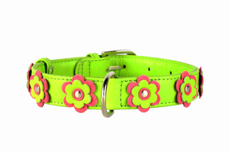 Obojek kožený Glamour Flower - zelený (46-60cm/35mm) Obojek kožený Glamour Flower - zelený (46-60cm/35mm)