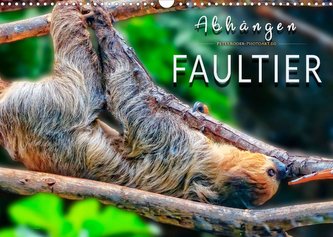 Abhängen - Faultier (Wandkalender 2023 DIN A3 quer)