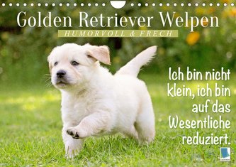Golden Retriever Welpen: Humorvoll und frech (Wandkalender 2023 DIN A4 quer)