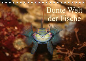 Bunte Welt der Fische (Tischkalender 2023 DIN A5 quer)