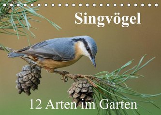 Singvögel - 12 Arten im Garten (Tischkalender 2023 DIN A5 quer)