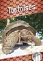 Animals with Armor: Tortoises