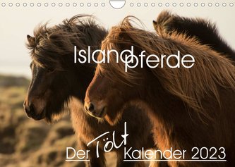 Islandpferde - Der Tölt Kalender (Wandkalender 2023 DIN A4 quer)