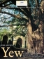 The Ancient Yew