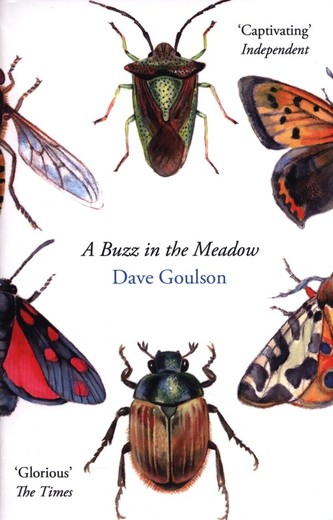 A Buzz in the Meadow