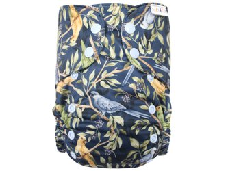 Ai2 BIO (M) - Papoušek Indigo PAT