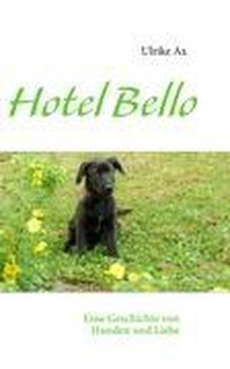 Hotel Bello