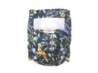 Ai2 BIO (S) - Papoušek Indigo SZ