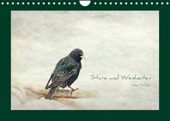 Stare und Weisheiten (Wandkalender 2023 DIN A4 quer)