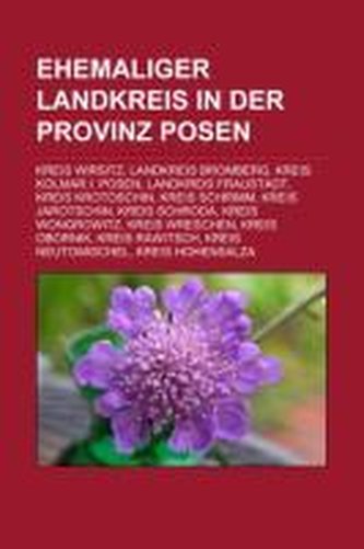 Ehemaliger Landkreis in der Provinz Posen