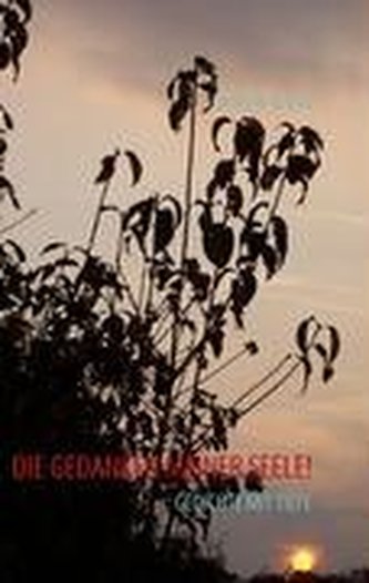 DIE GEDANKEN MEINER SEELE!