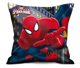 POLŠTÁŘ SPIDERMAN