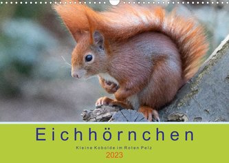 Eichhörnchen - Kleine Kobolde im Roten Pelz (Wandkalender 2023 DIN A3 quer)