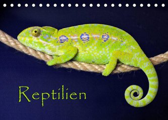 Reptilien (Tischkalender 2023 DIN A5 quer)
